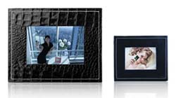 Parrot Bluetooth Photo Viewer Parrot Bluetooth Photo Viewer